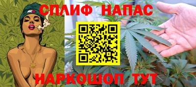 крисы Будённовск