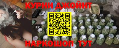 крисы Будённовск