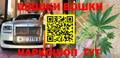 крисы Будённовск