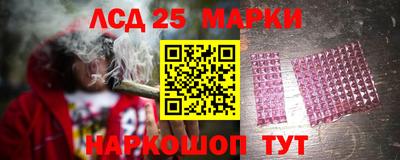 крисы Будённовск